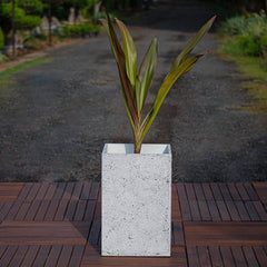 Concrete Abacus Large Planters l Concrete Marbre Planters Collection -Eliteearth
