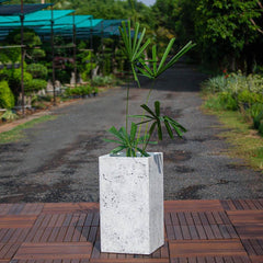 oncrete Abacus Planter - Xtra Large l Concrete Marbre Planters Collection-Eliteearth