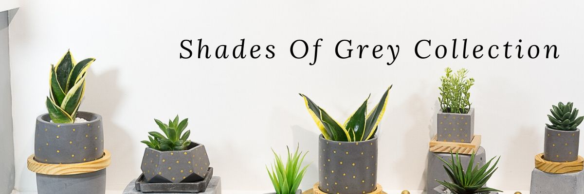 Shades of Grey Planters