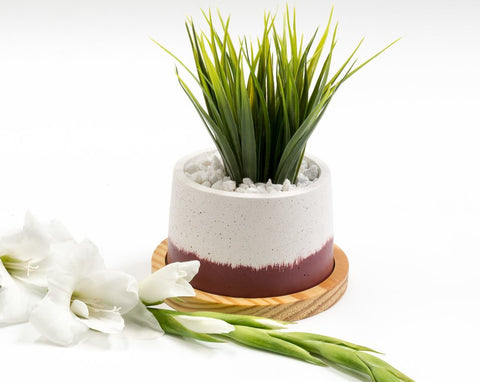 Concrete Cavern Planter in Awakening, Asian Paints<br> Colour of the Year 2019 - Eliteearth