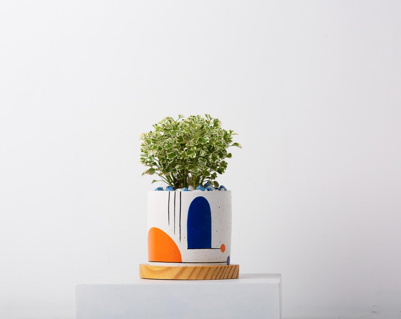 Concrete Circlet Planter - Avant-Garde Collection-Eliteearth