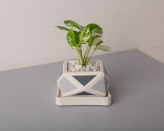 Concrete Crystal Planter - Grey Invertrix Collection - Eliteearth