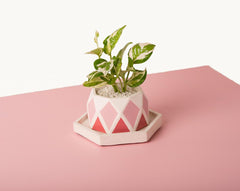 Concrete Diamante Planter - Pink Invertrix Collection - Eliteearth