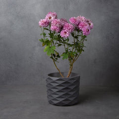  Concrete Tryst Planter - Charcoal-Eliteearth