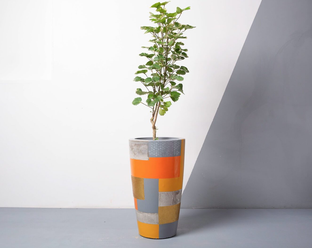 Concrete Umbra Planter - Suryaasta Collection-Eliteearth