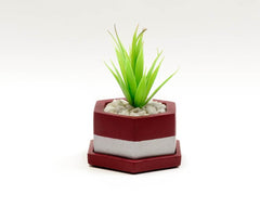 Concrete Hexafun Planter in Awakening - Asian Paints <br> Colour of the Year 2019 - Eliteearth