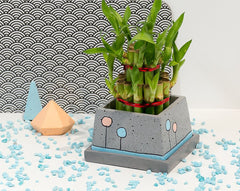 Concrete Stylish Planter - Confetti Collection - Eliteearth